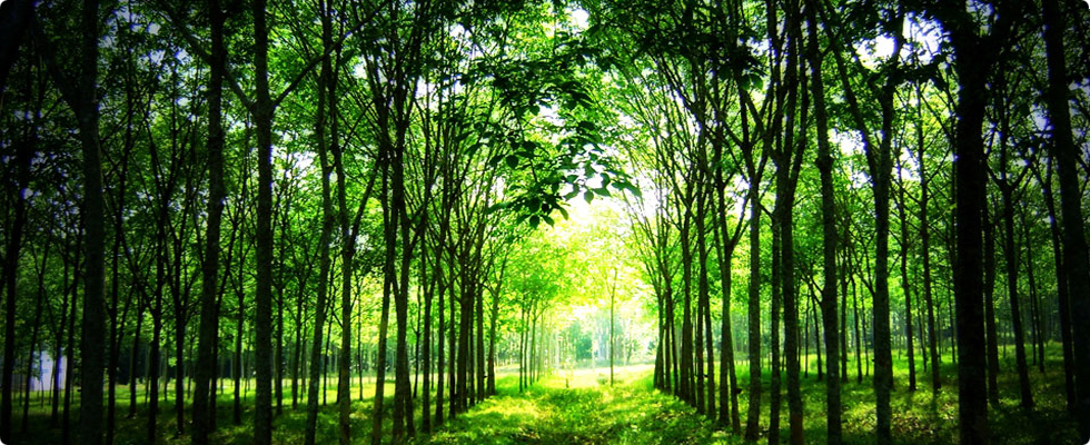 mathabiofertilizers.com