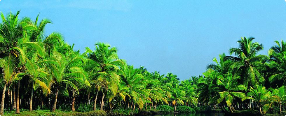 mathabiofertilizers.com