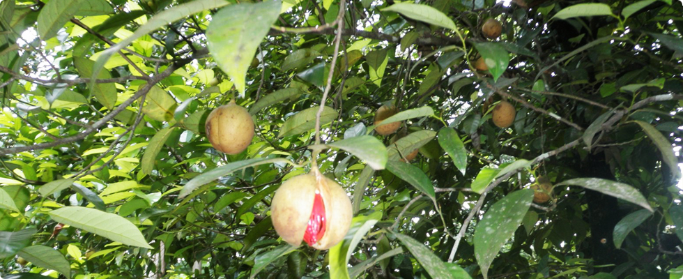 mathabiofertilizers.com