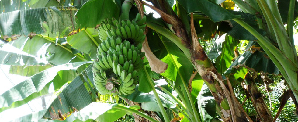 mathabiofertilizers.com